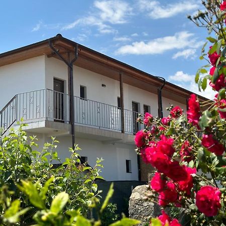 Vila Bloom Vama Veche Exterior photo