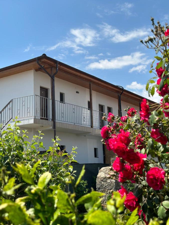 Vila Bloom Vama Veche Exterior photo